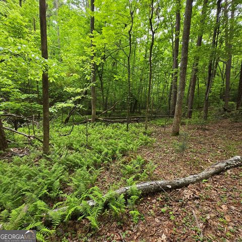 3.5ACRE Dusty Trail, Morganton, GA 30560