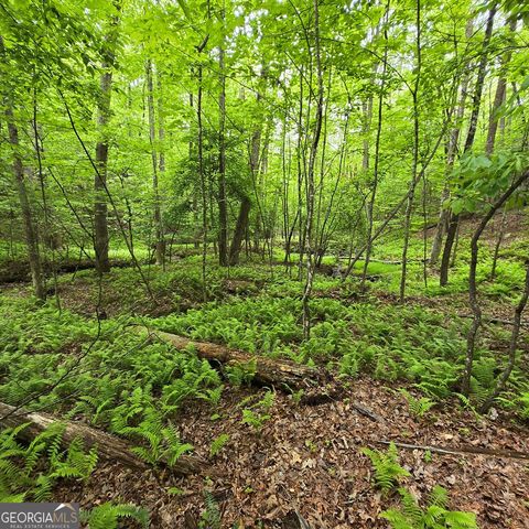 3.5ACRE Dusty Trail, Morganton, GA 30560