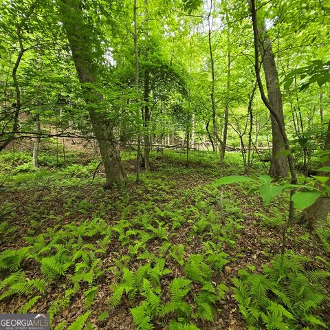 3.5ACRE Dusty Trail, Morganton, GA 30560