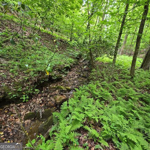 3.5ACRE Dusty Trail, Morganton, GA 30560