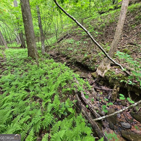3.5ACRE Dusty Trail, Morganton, GA 30560