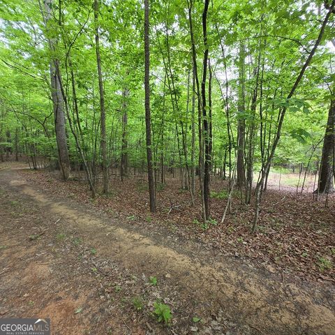 3.5ACRE Dusty Trail, Morganton, GA 30560