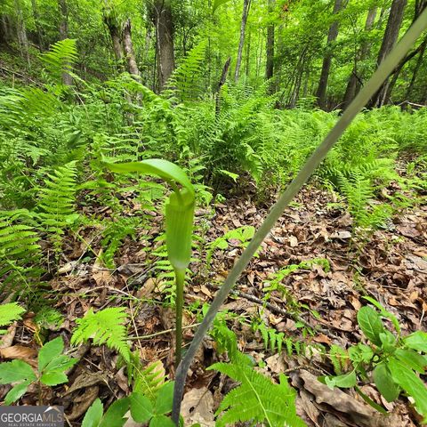 3.5ACRE Dusty Trail, Morganton, GA 30560