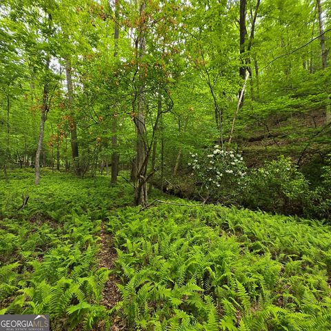 3.5ACRE Dusty Trail, Morganton, GA 30560
