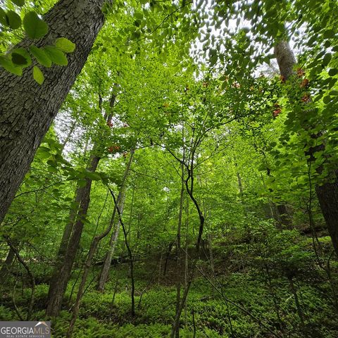 3.5ACRE Dusty Trail, Morganton, GA 30560