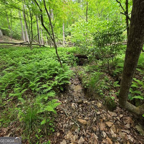 3.5ACRE Dusty Trail, Morganton, GA 30560