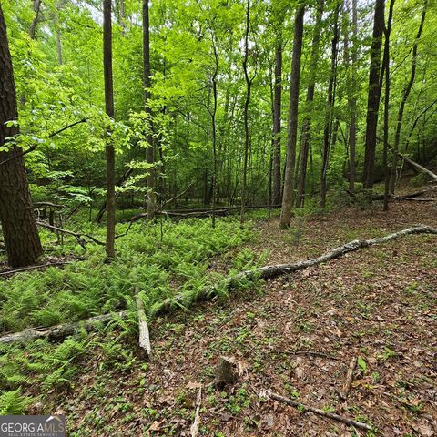 3.5ACRE Dusty Trail, Morganton, GA 30560