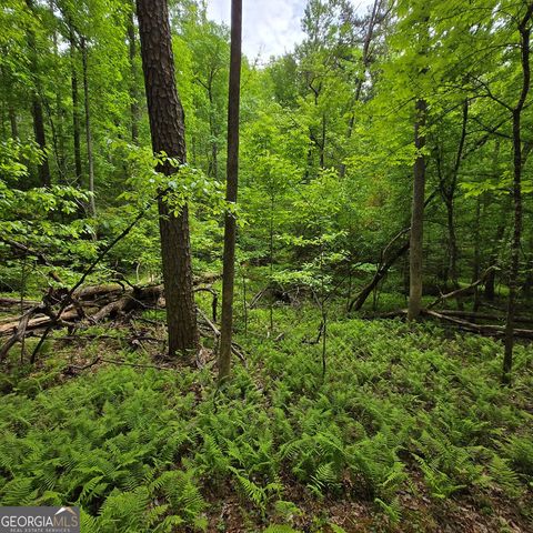 3.5ACRE Dusty Trail, Morganton, GA 30560