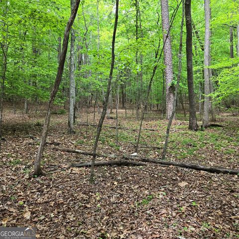 3.5ACRE Dusty Trail, Morganton, GA 30560