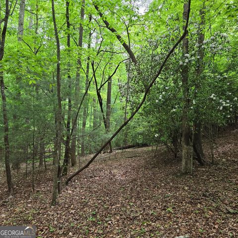 3.5ACRE Dusty Trail, Morganton, GA 30560