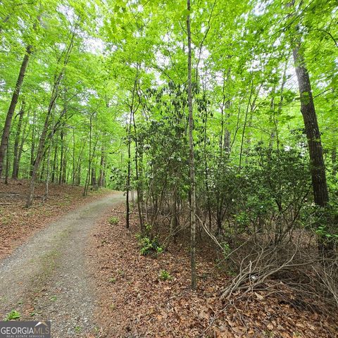 3.5ACRE Dusty Trail, Morganton, GA 30560