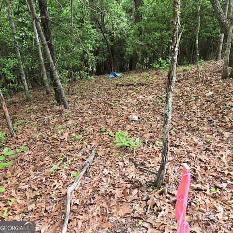 3.5ACRE Dusty Trail, Morganton, GA 30560
