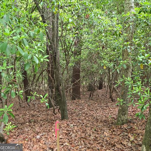 3.5ACRE Dusty Trail, Morganton, GA 30560