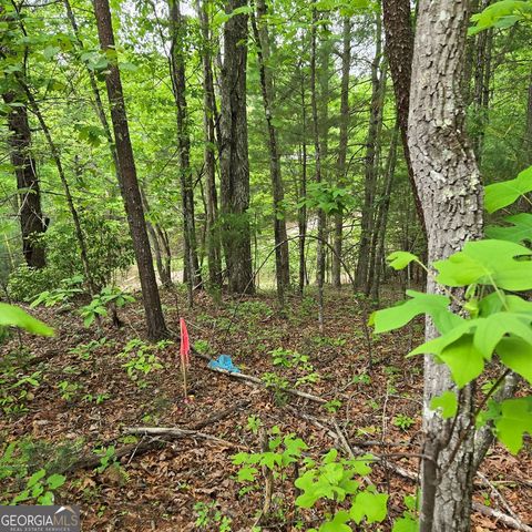 3.5ACRE Dusty Trail, Morganton, GA 30560
