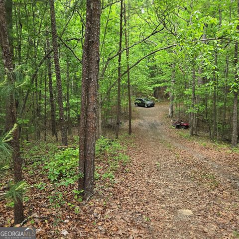 3.5ACRE Dusty Trail, Morganton, GA 30560