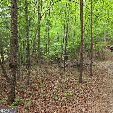 3.5ACRE Dusty Trail, Morganton, GA 30560