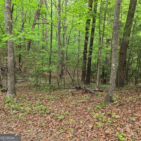 3.5ACRE Dusty Trail, Morganton, GA 30560