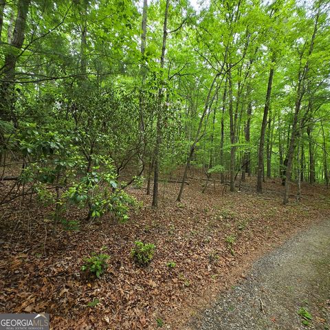 3.5ACRE Dusty Trail, Morganton, GA 30560