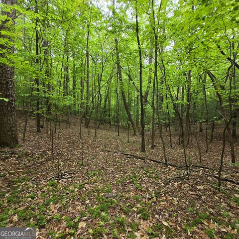 3.5ACRE Dusty Trail, Morganton, GA 30560