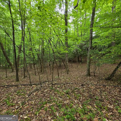 3.5ACRE Dusty Trail, Morganton, GA 30560