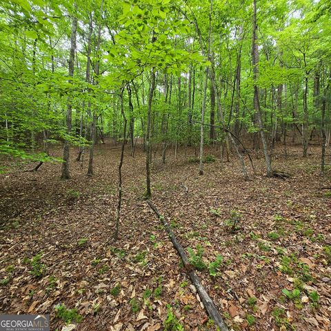 3.5ACRE Dusty Trail, Morganton, GA 30560