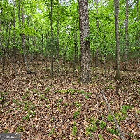 3.5ACRE Dusty Trail, Morganton, GA 30560