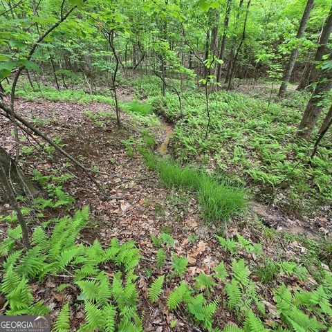 3.5ACRE Dusty Trail, Morganton, GA 30560