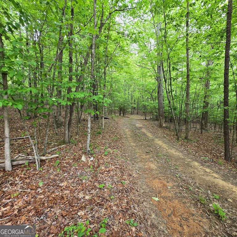 3.5ACRE Dusty Trail, Morganton, GA 30560