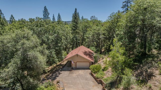 17000 Nina Ln, Fiddletown, CA 95629