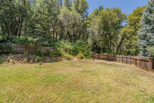 17000 Nina Ln, Fiddletown, CA 95629