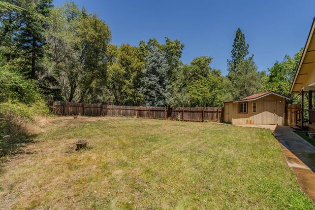 17000 Nina Ln, Fiddletown, CA 95629