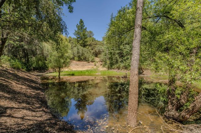 17000 Nina Ln, Fiddletown, CA 95629
