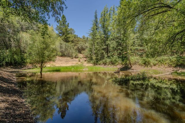 17000 Nina Ln, Fiddletown, CA 95629