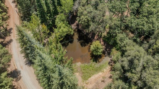 17000 Nina Ln, Fiddletown, CA 95629