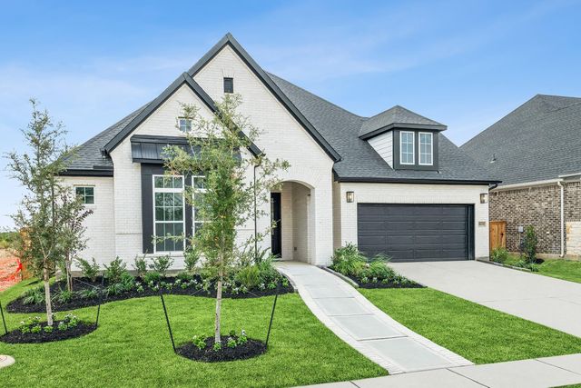 16211 Blue Mistflower Lane, Hockley, TX 77447
