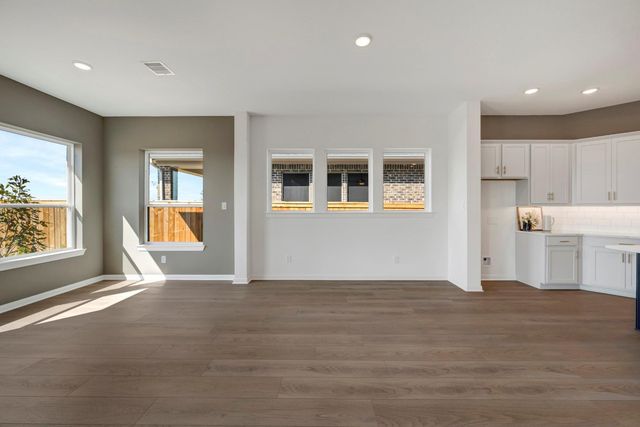 16211 Blue Mistflower Lane, Hockley, TX 77447