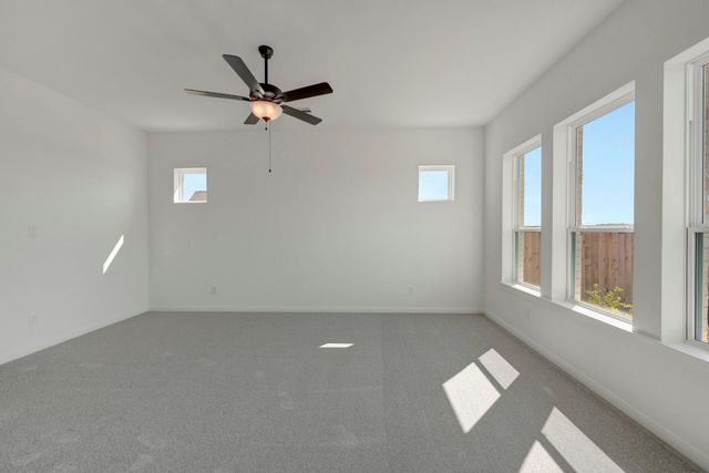 16211 Blue Mistflower Lane, Hockley, TX 77447