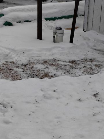 4705 Waltan Road, Vassar, MI 48768