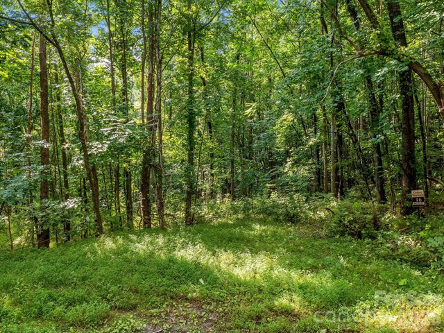 999 South View Court 46, Marion, NC 28752
