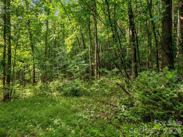 999 South View Court 46, Marion, NC 28752