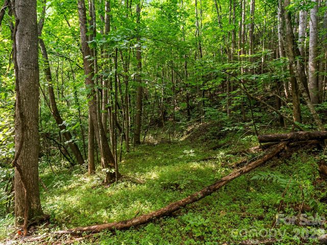 999 South View Court 46, Marion, NC 28752