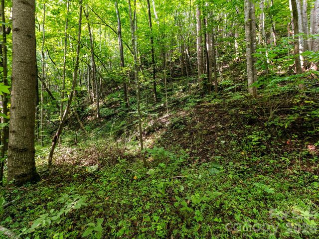 999 South View Court 46, Marion, NC 28752