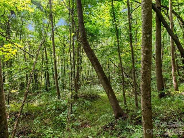 999 South View Court 46, Marion, NC 28752