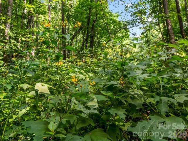 999 South View Court 46, Marion, NC 28752