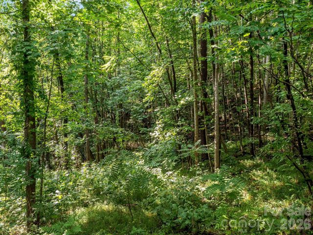 999 South View Court 46, Marion, NC 28752