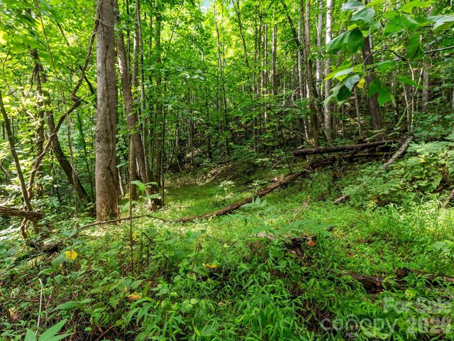 999 South View Court 46, Marion, NC 28752