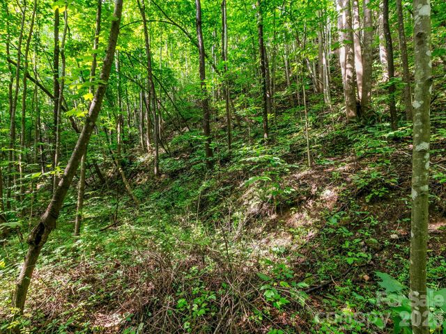 999 South View Court 46, Marion, NC 28752