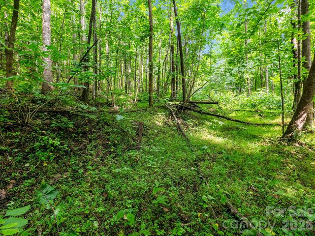999 South View Court 46, Marion, NC 28752