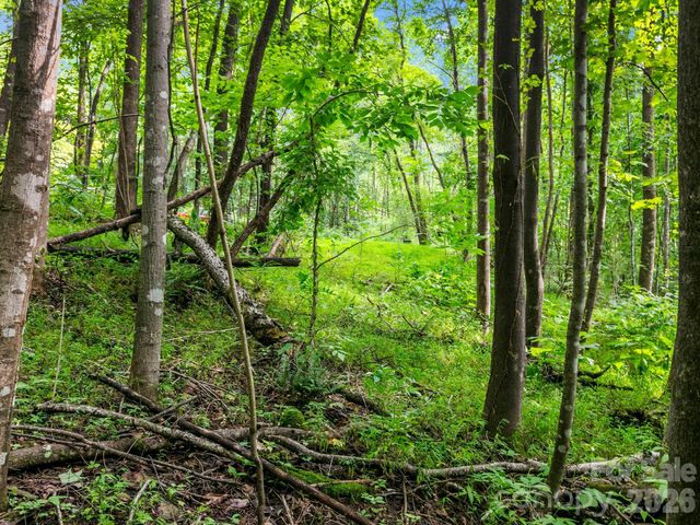 999 South View Court 46, Marion, NC 28752