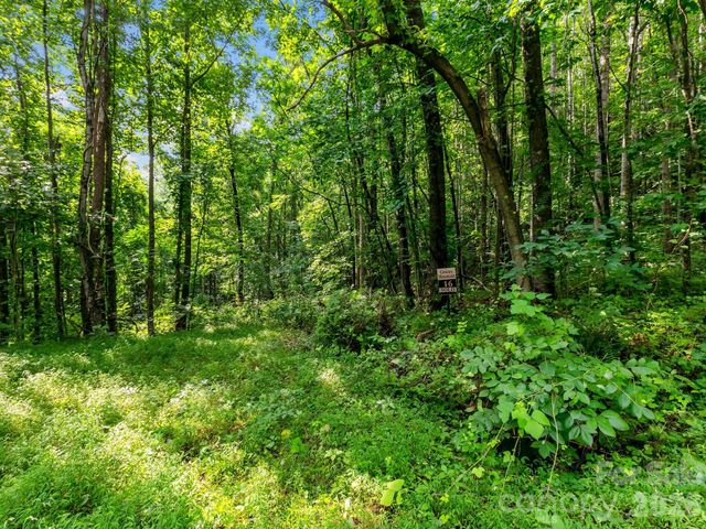999 South View Court 46, Marion, NC 28752